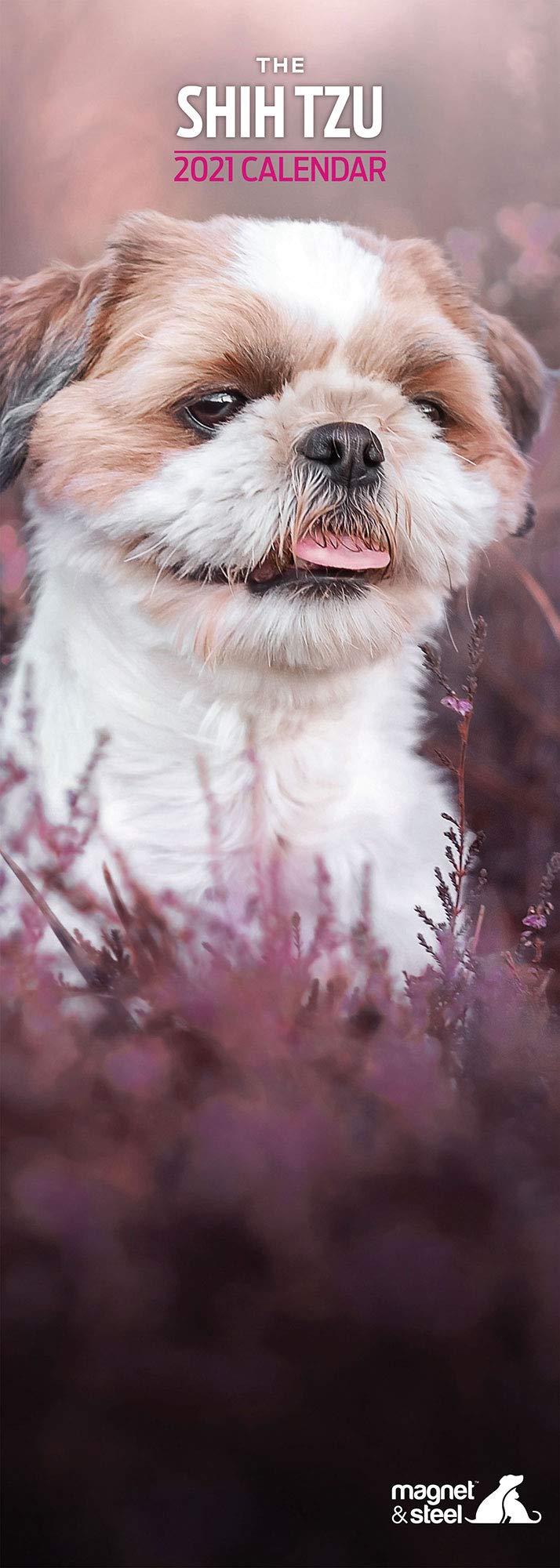 Magnet & Steel Shih Tzu Slim 2021 Calendar (9685)