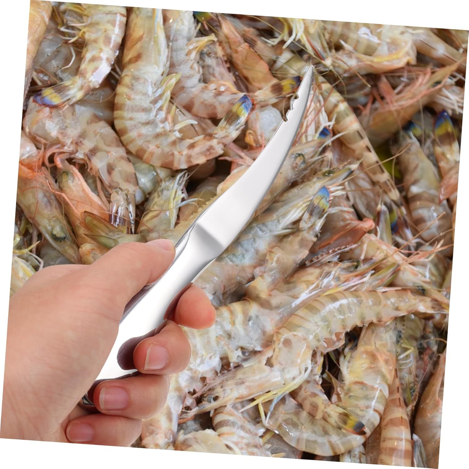 SOLUSTRE 3pcs Stainless Steel Shrimp Peeling Tool Rustproof Shell Cutter for Removal and Quick Cleaning Lightweight and Gadget