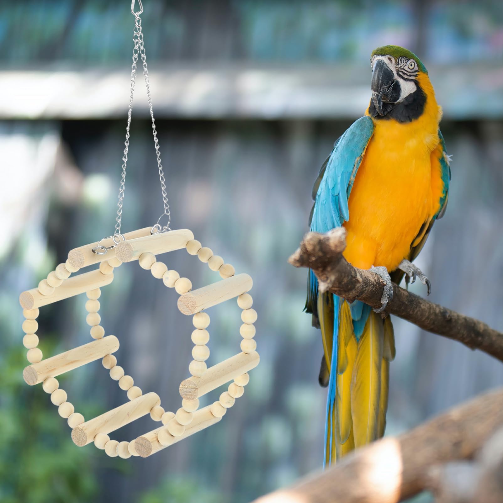 BUGUUYO Attractive Bird Swing Toy Parrot Swing Bird for Cage Parrot Accessories Wooden Toy Perch