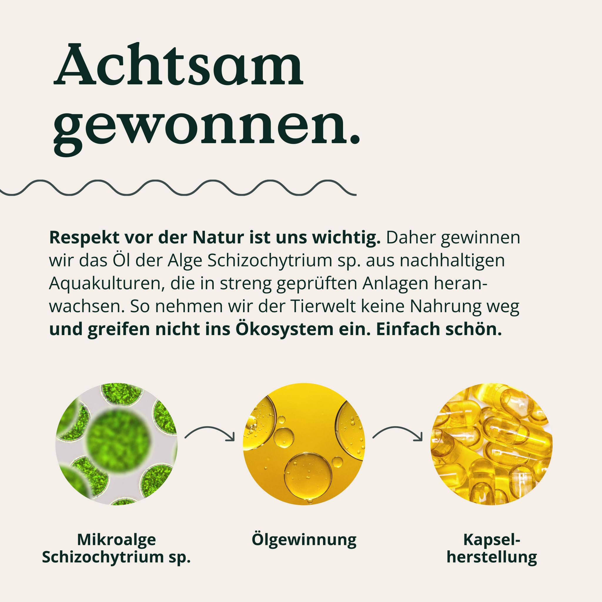 NATURE LOVE® Omega 3 vegan - hochdosiert mit 1.444 mg Algenöl pro Tagesdosis - 90 Kapseln - nachhaltig, laborgeprüft, produziert in Deutschland