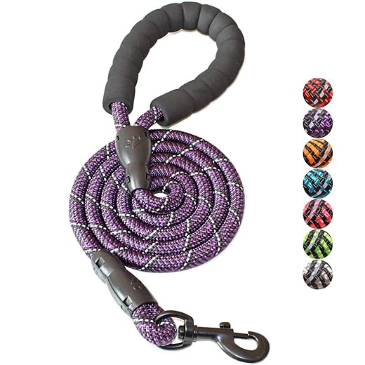 BAAPET 2/4/5/6 FT Dog Leash with Comfortable Padded Handle and Highly Reflective Threads for Small Medium and Large Dogs (5FT-1/2'', Black Purple)