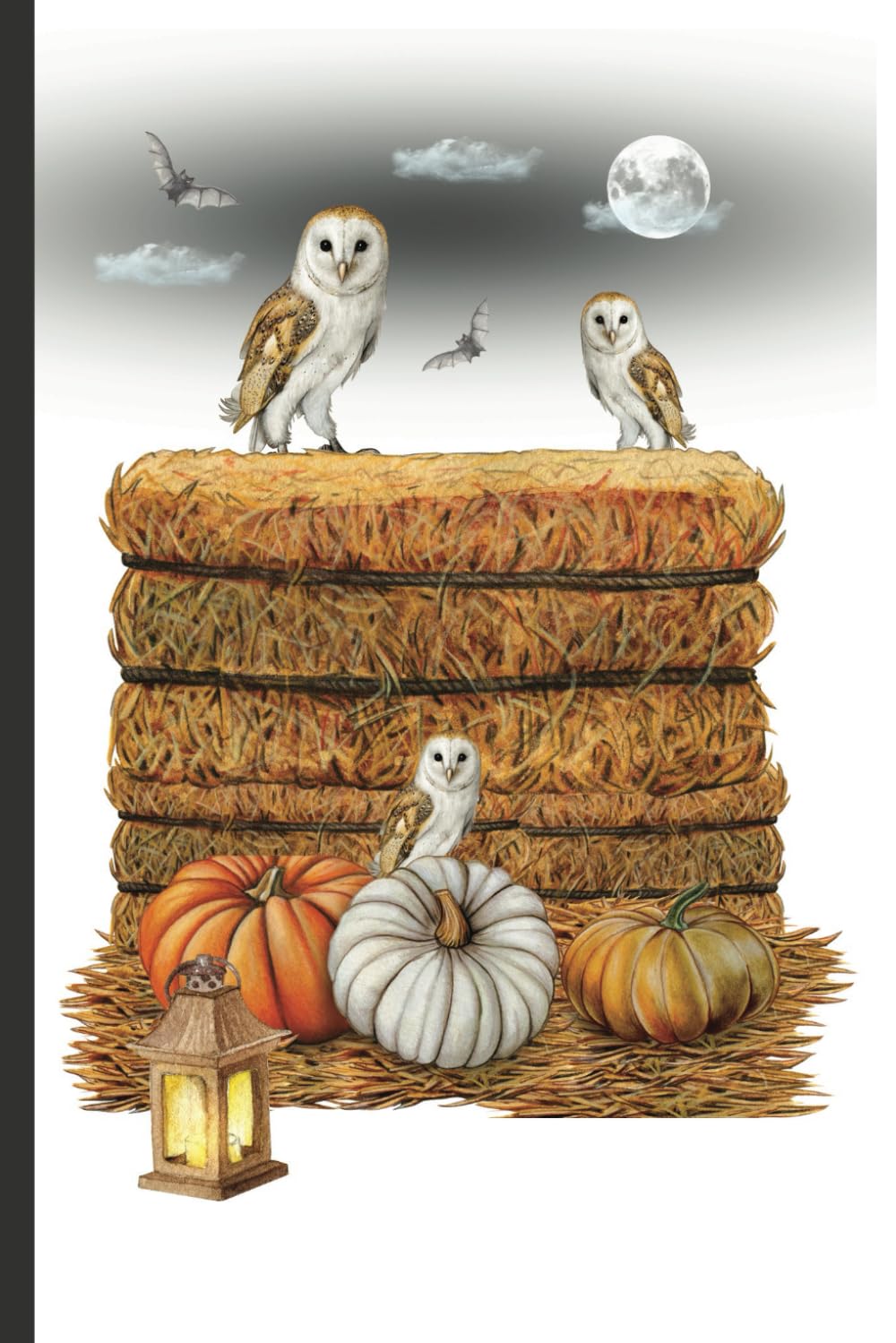 Independently published The Barn Owls At Midnight Journal