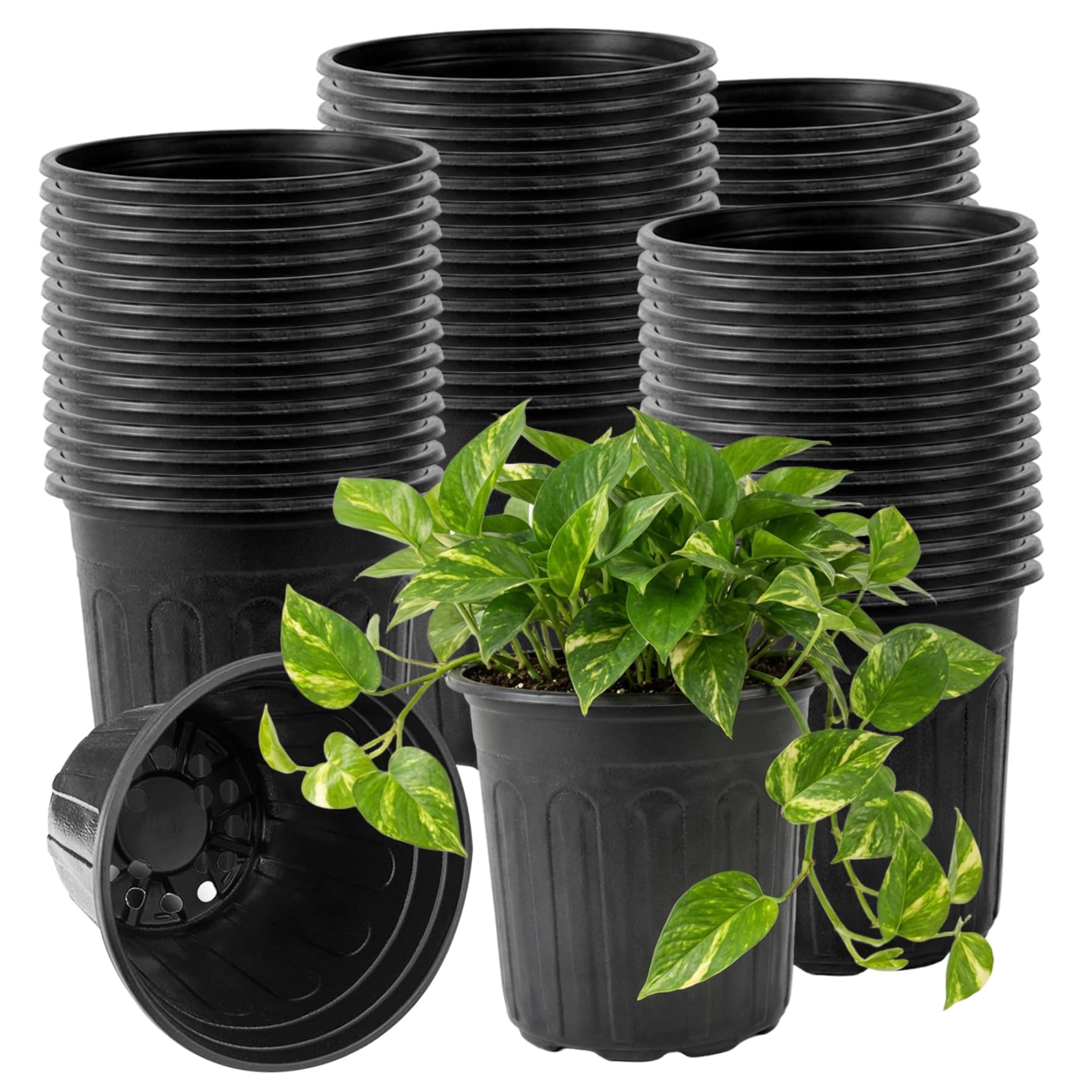 Pots de 60 pièces de 1 Gallon pour plantes, pots pépinière plastique pour semis