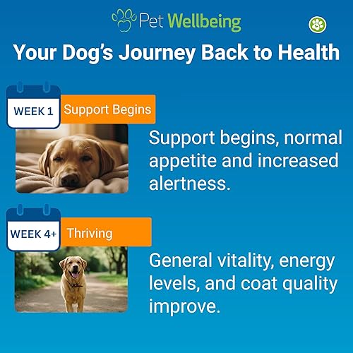 Miniatura 6 de Pet Wellbeing Life Gold for Dogs - Apoya la desintoxicación, la salud del sistema inmunológico, los antioxidantes, suplemento de hierbas formulado