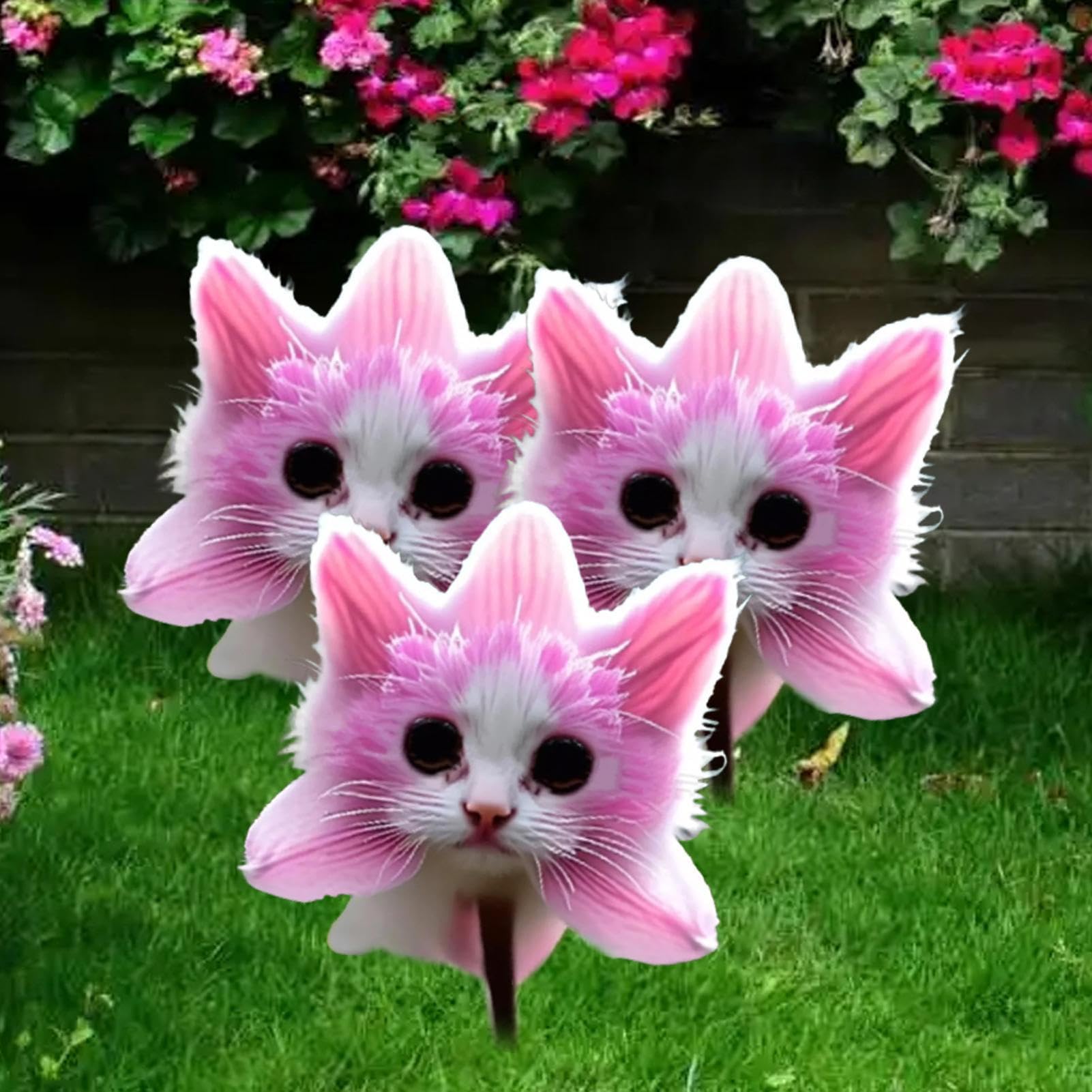 Katzenorchideen Samen 300 Stück - Mehrjährige Blumensamen Für Garten & Balkon