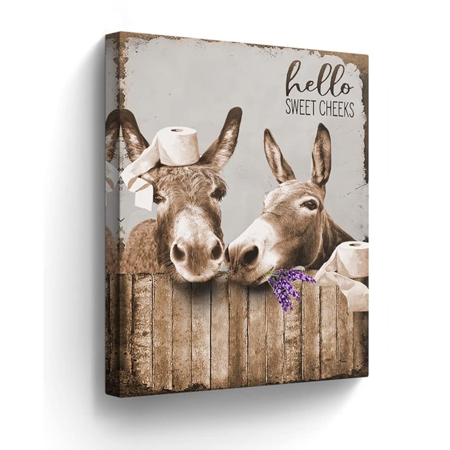 Canvas Wall Art Donkey Pictures for Bathroom Decor - Funny Farmhouse Painting Toilet Prints - Rustic Animals Artwork Framed 12"x16"