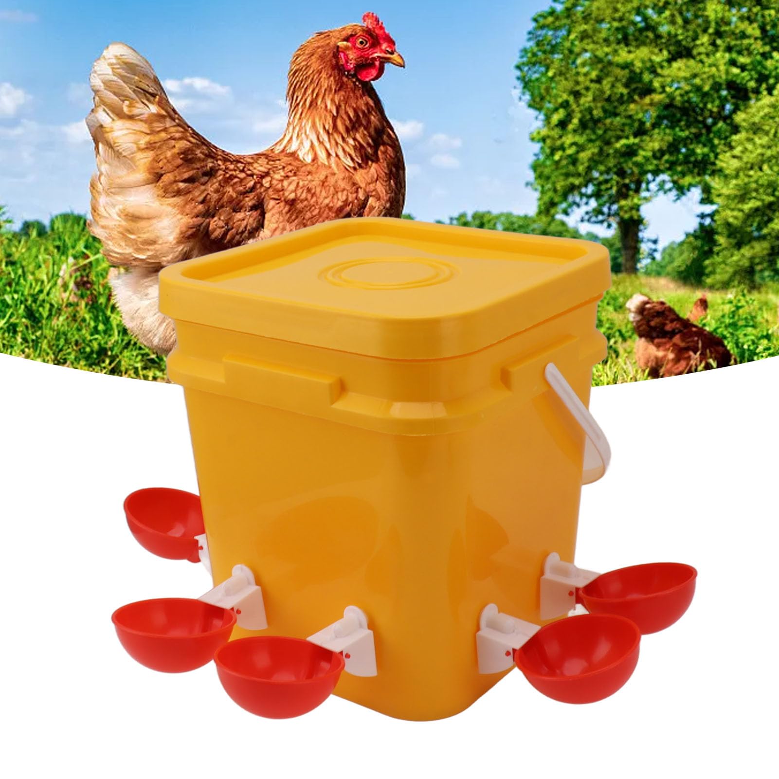 Bebedero Automático para Pollos, Alimentador y Bebedero para Pollos de Barril de 12L, Suministros para Gallinas Pequeñas, Bebedero para Aves de Corral (Cubo + Tazón Rojo Grande +