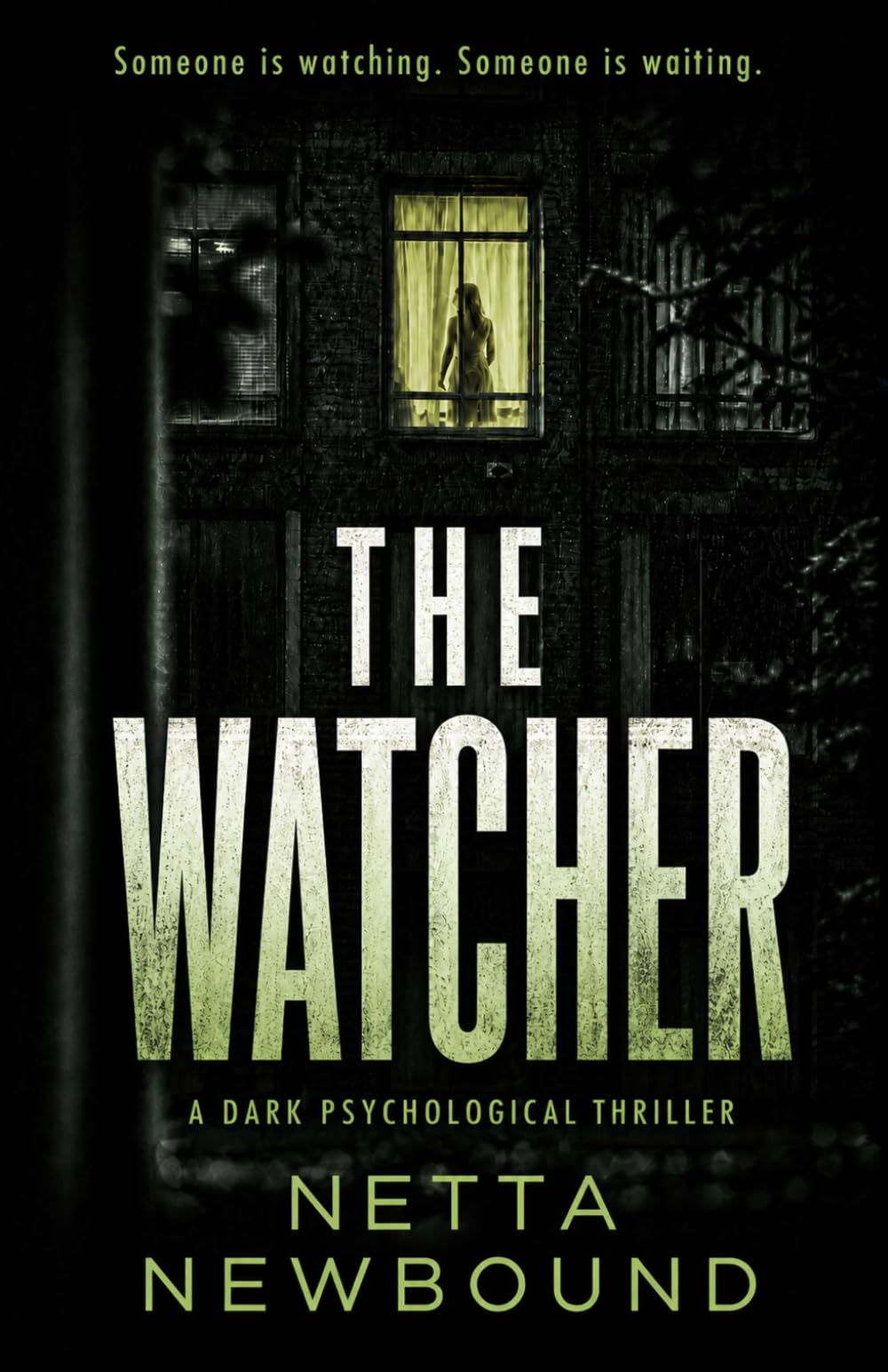 The Watcher: A terrifying psychological thriller