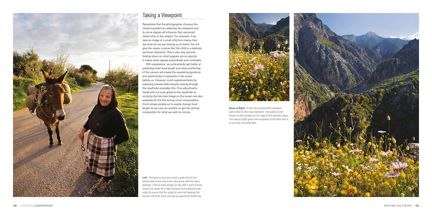 Mastering Composition: The Definitive Guide for Photographers