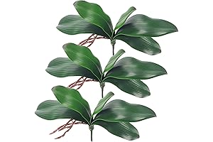 Miracliy Phalaenopsis Orchid Fake Leaves