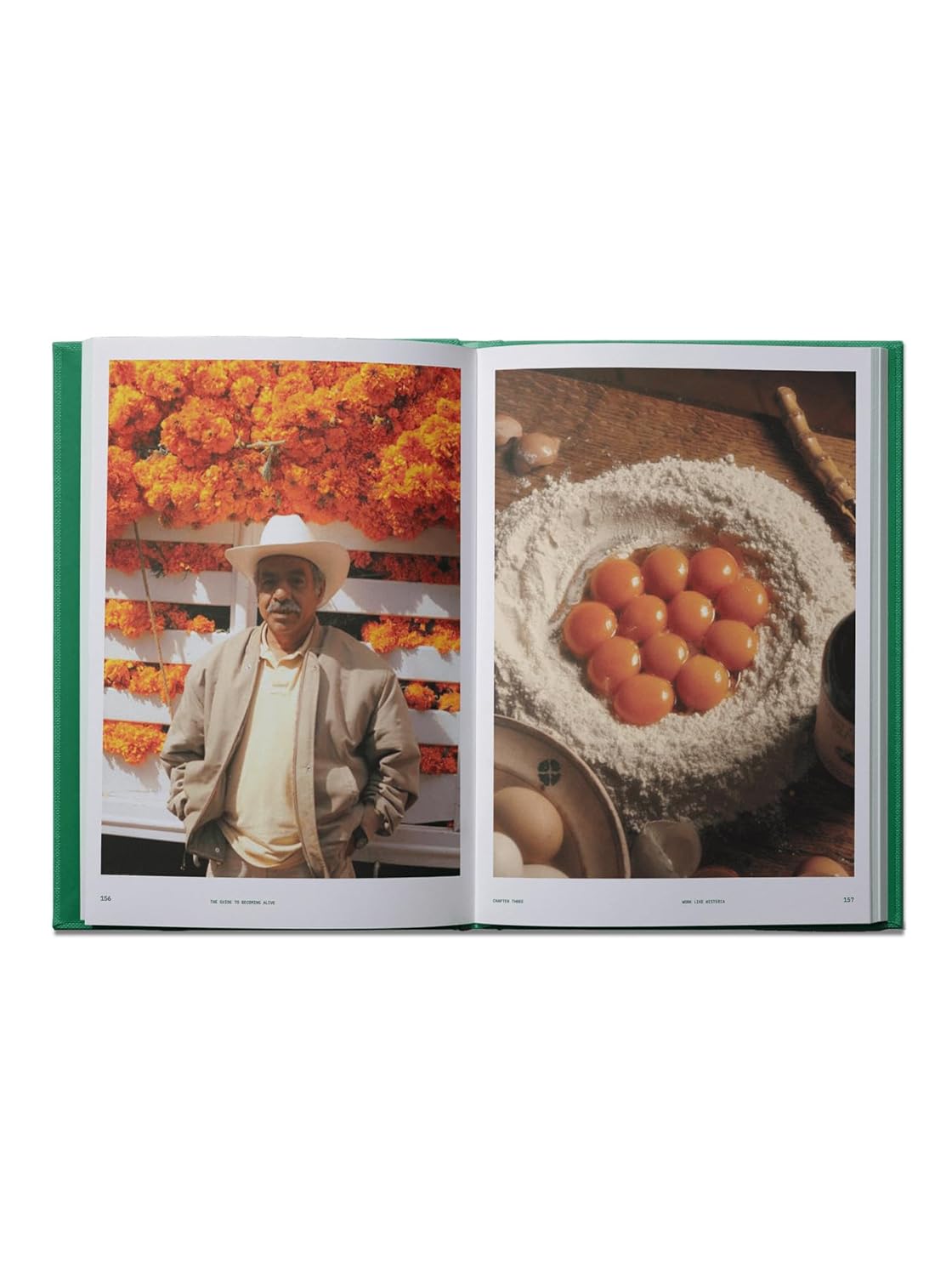 Flamingo Estate: The Guide to Becoming Alive - Image 5