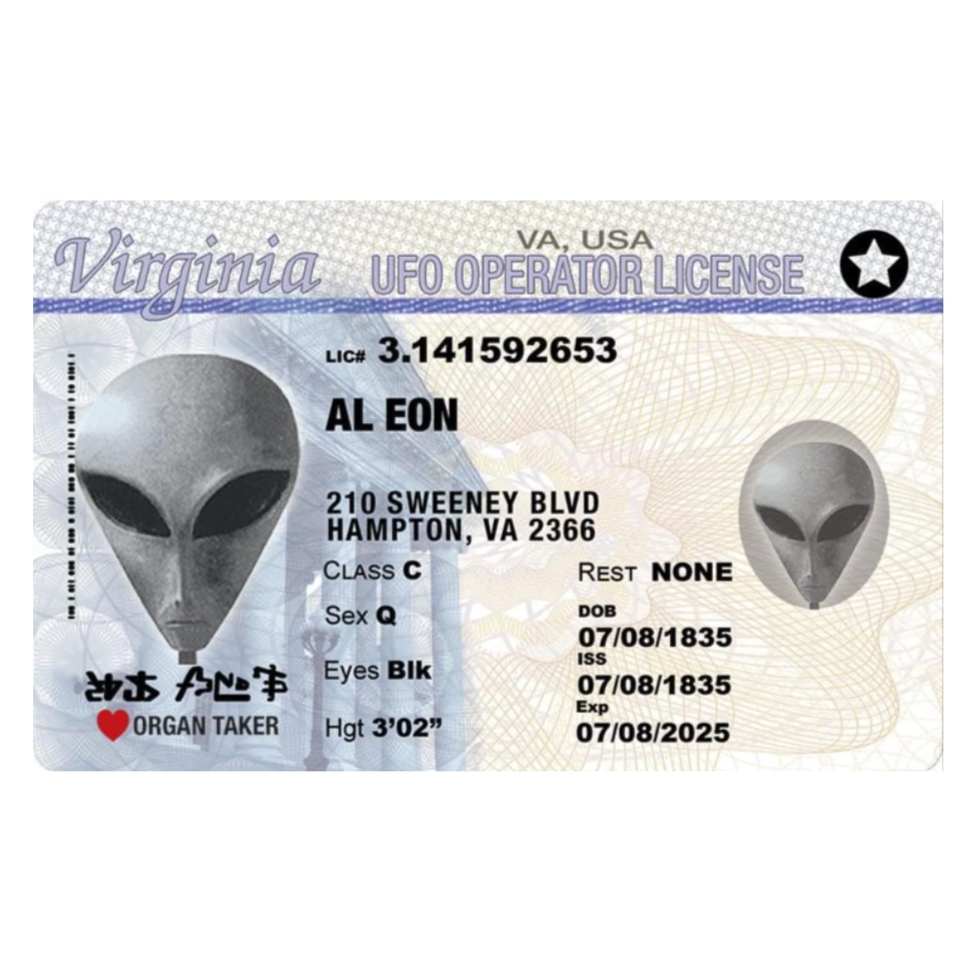 Alien UFO Driver's License - Double-Sided Prank ID, Funny Costume Accessory, 3.2x2.4 Inches