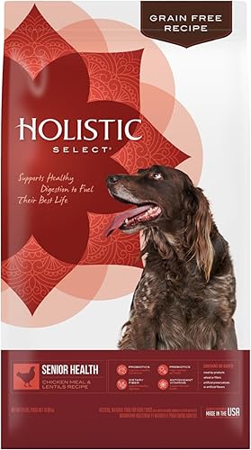 Holistic Select Natural Pet Food, Comida seca para perros sin granos, comida saludable para pollo, receta de arroz, bolsa de 24 libras