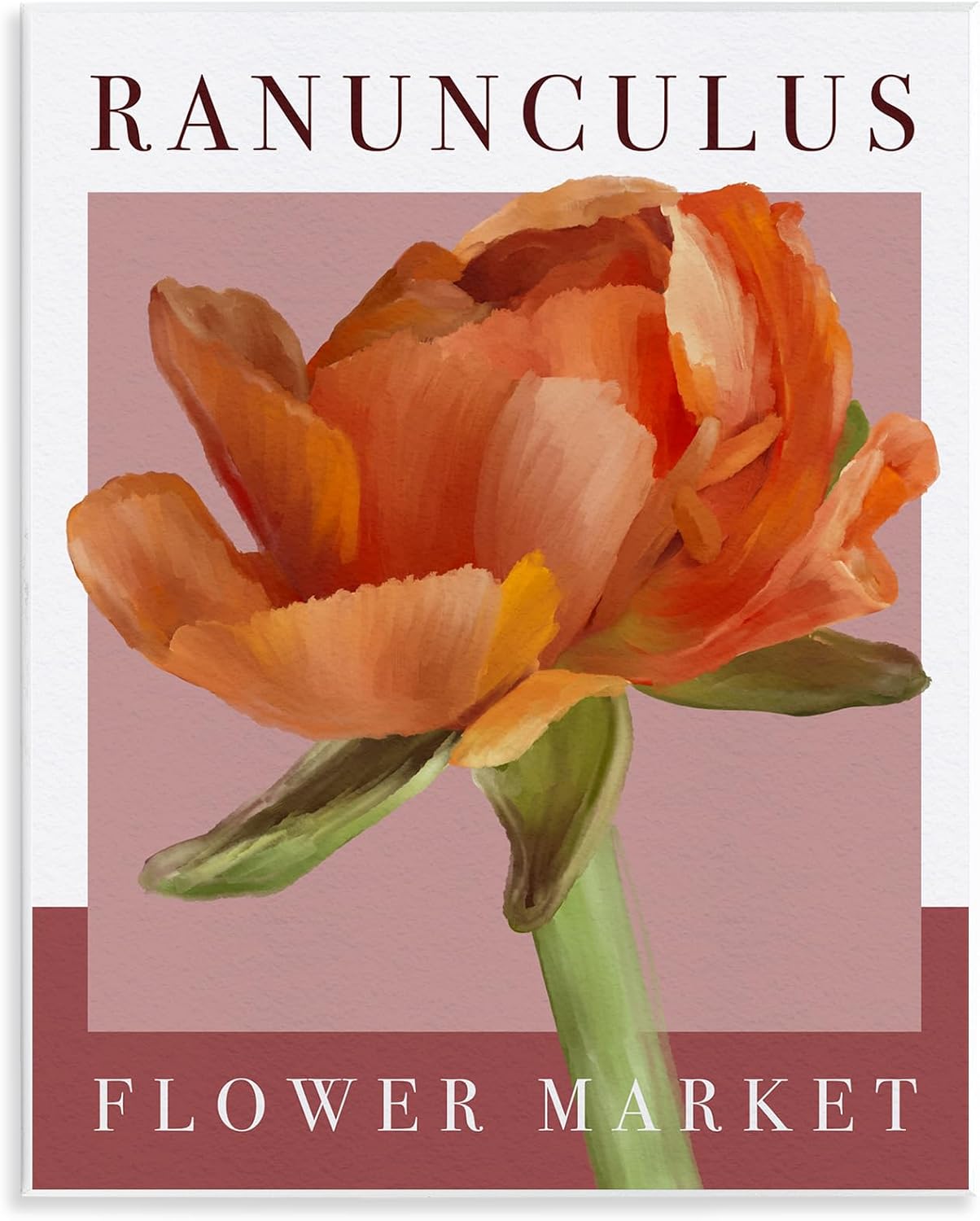 Ranunculus Flower Market Floral Still Life, 24 x 30 Inch Canvas Wall Art | Stupell Industries · By Jennifer Stith · Ready to hang · Great for living room decor · Made in USA
