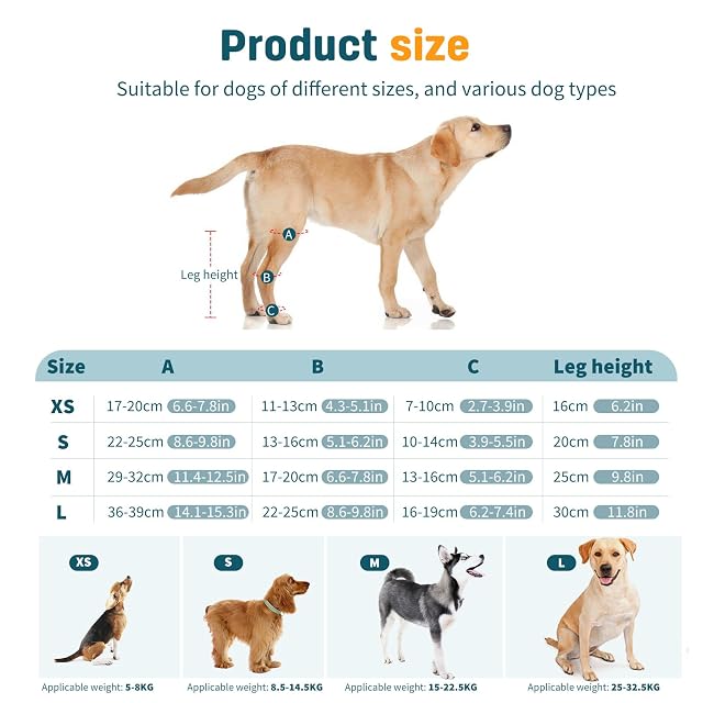 Foto 3 de 6 de PETCUTE Rodillera Ajustable para Perros con Banda Reflectante -Condroprotector Perros