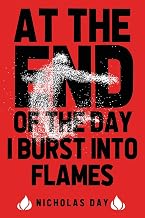 At The End Of The Day I Burst Into Flames