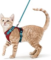 Vista 45 de rabbitgoo Cat Harness and Leash for Walking, Escape Proof Soft Adjustable Vest Harnesses for Cats, Easy Control Breathable Reflective Strips Jacket