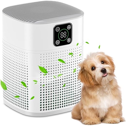 Air Purifiers for Bedroom Honeyuan H13 HEPA Air Purifier for