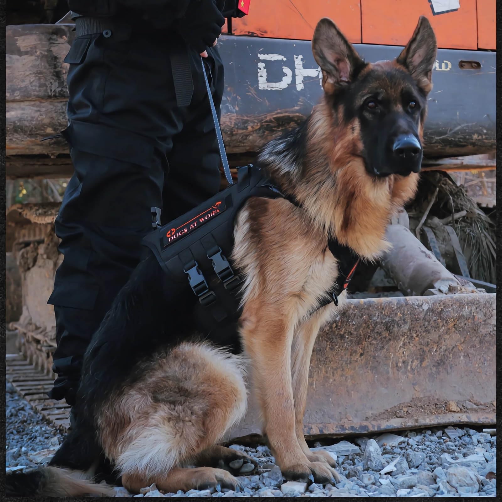 Imbragatura Tattica per Cani - Controllo Anti-trazione a 3 Punti | Oxford 1000D Resistente | Maniglie di Sicurezza Regolabili da 59 Pollici(Black,L)