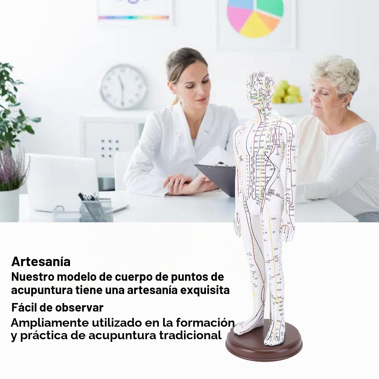 Modelo de Acupuntura, 20.47in PVC Cuerpo Humano Muñeca de Acupuntura Profesional Alta Definición Modelo de Acupunto Humano con Base para la Enseñanza de la Medicina China