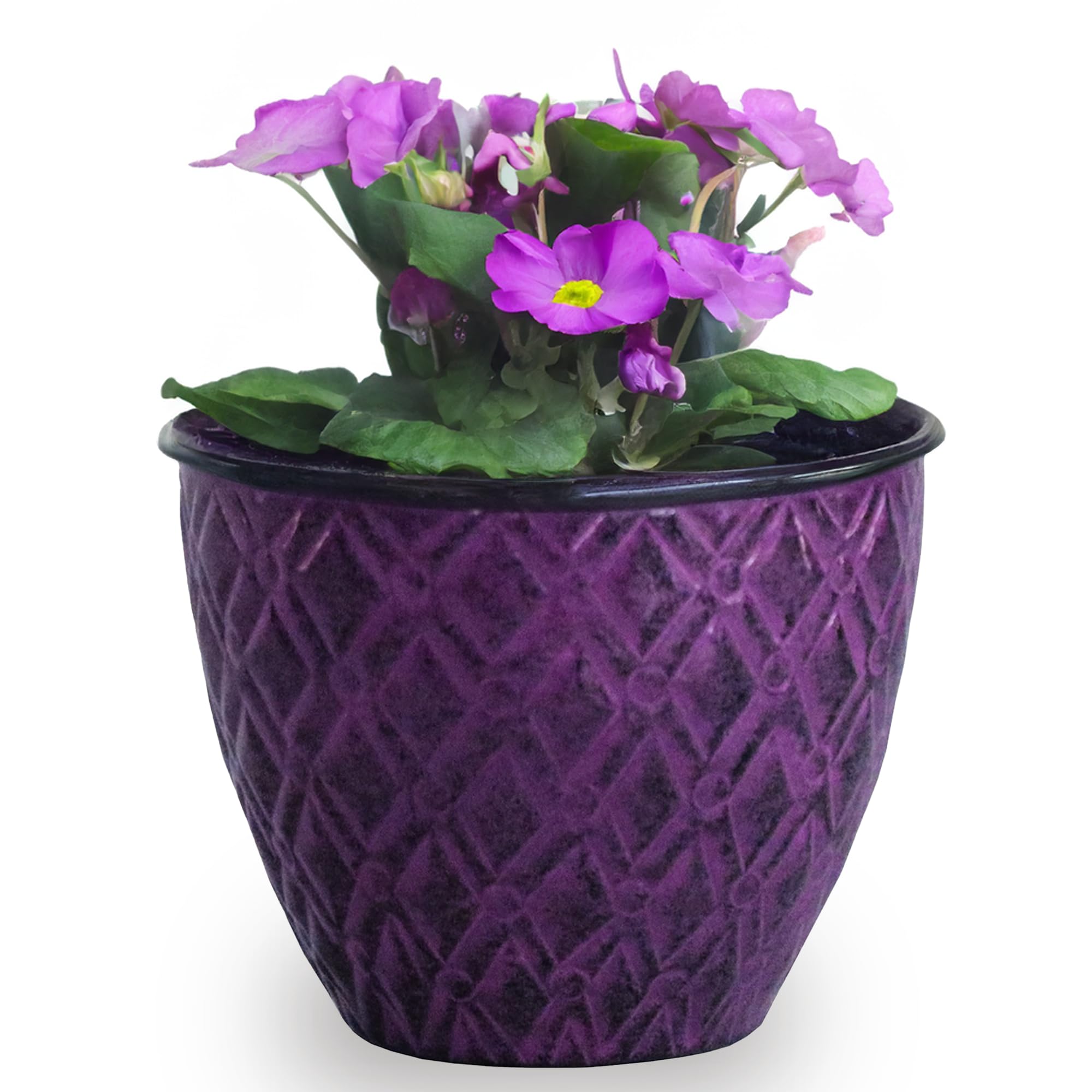 Amazon.com : Headwind Glazed Ironstone Boutique Collection Plant