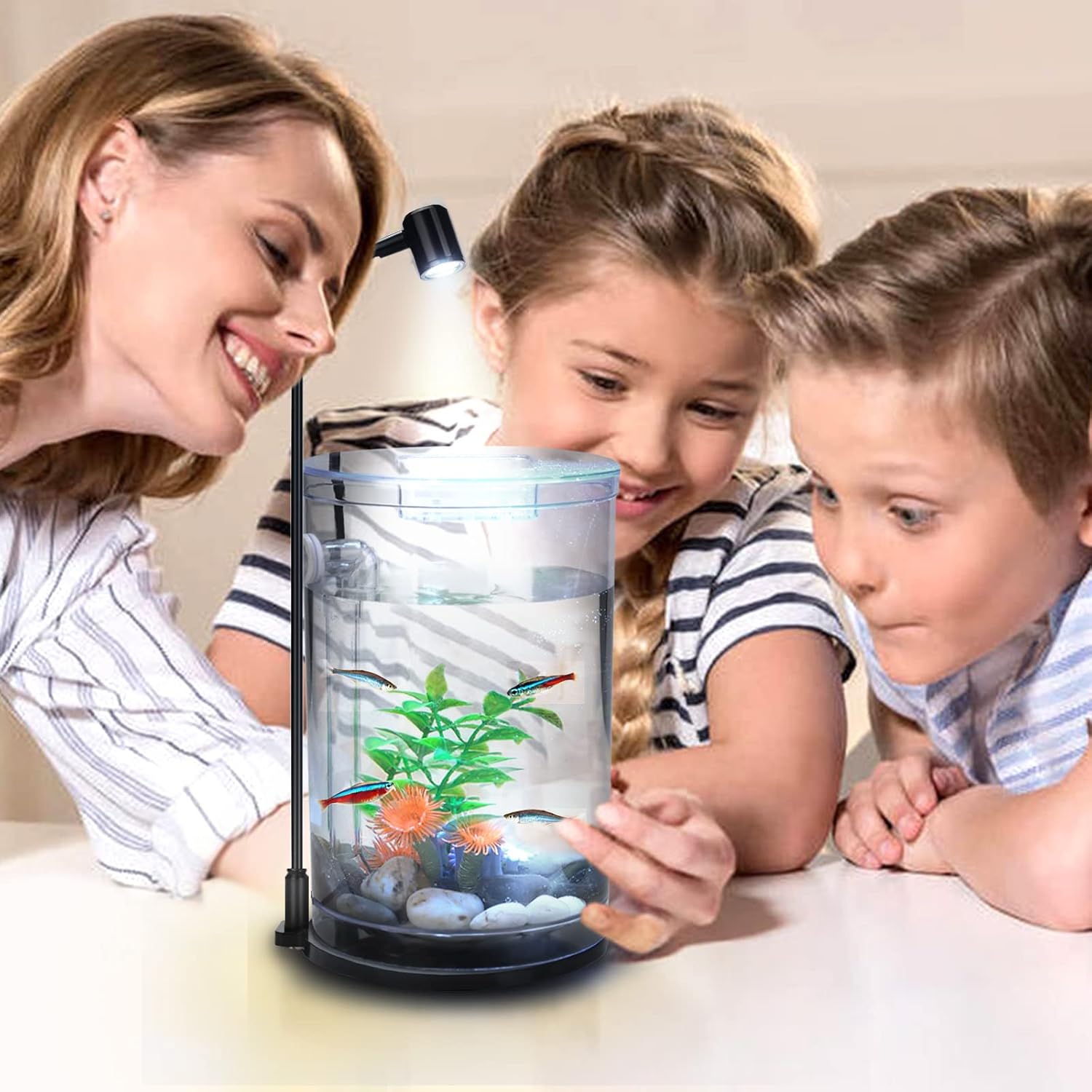 Illuminate Your Aquatic World: The Best 3W USB LED Light for Betta Fish and Plants