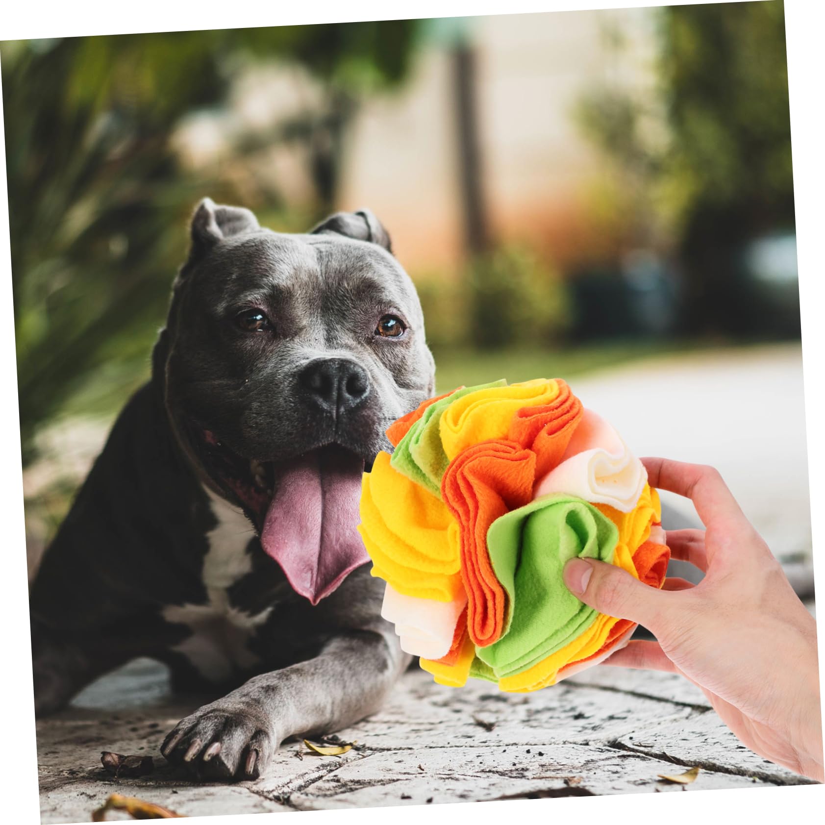 Kisangel 3stücke Hundeschnüffelball Interaktives Spielzeug Für Hunde Slow Feeder Zur des Fressverhaltens Langlebig Und Waschbar Für Welpen Und Kleine Hunde
