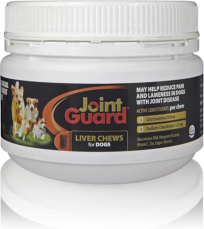 second hand dog store