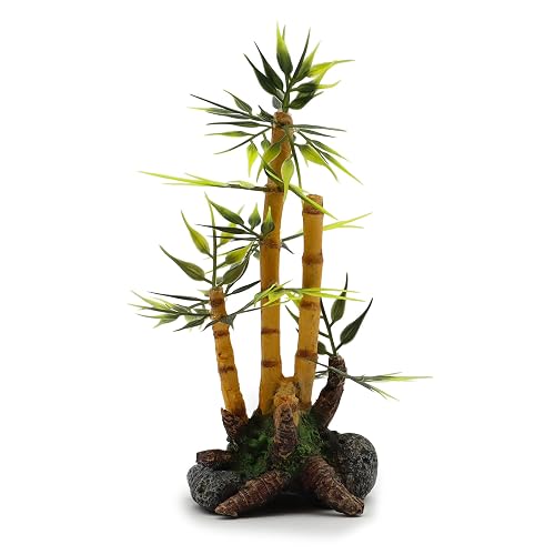 Amtra A8011680 Bambú de Planta de Japón