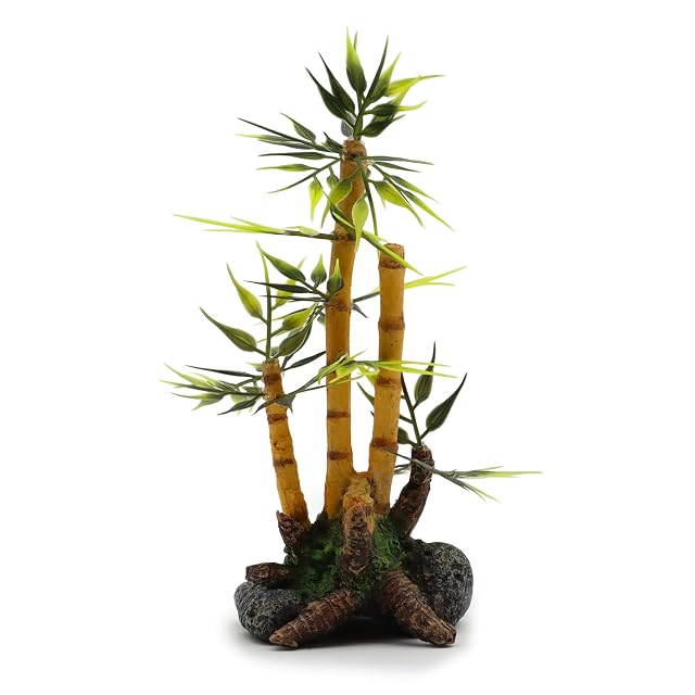 Amtra A8011680 Bambú de Planta de Japón