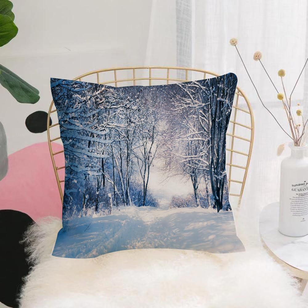 HYMSXW Cushion Cover,Throw Pillow Case Home Decorative for Living Room Bedroom Sofa Chair 20X20 Inch,Winter, alley in the snowy forest Frosty cold weather Rural nature outdoors For,Pillowcase 50X50cm