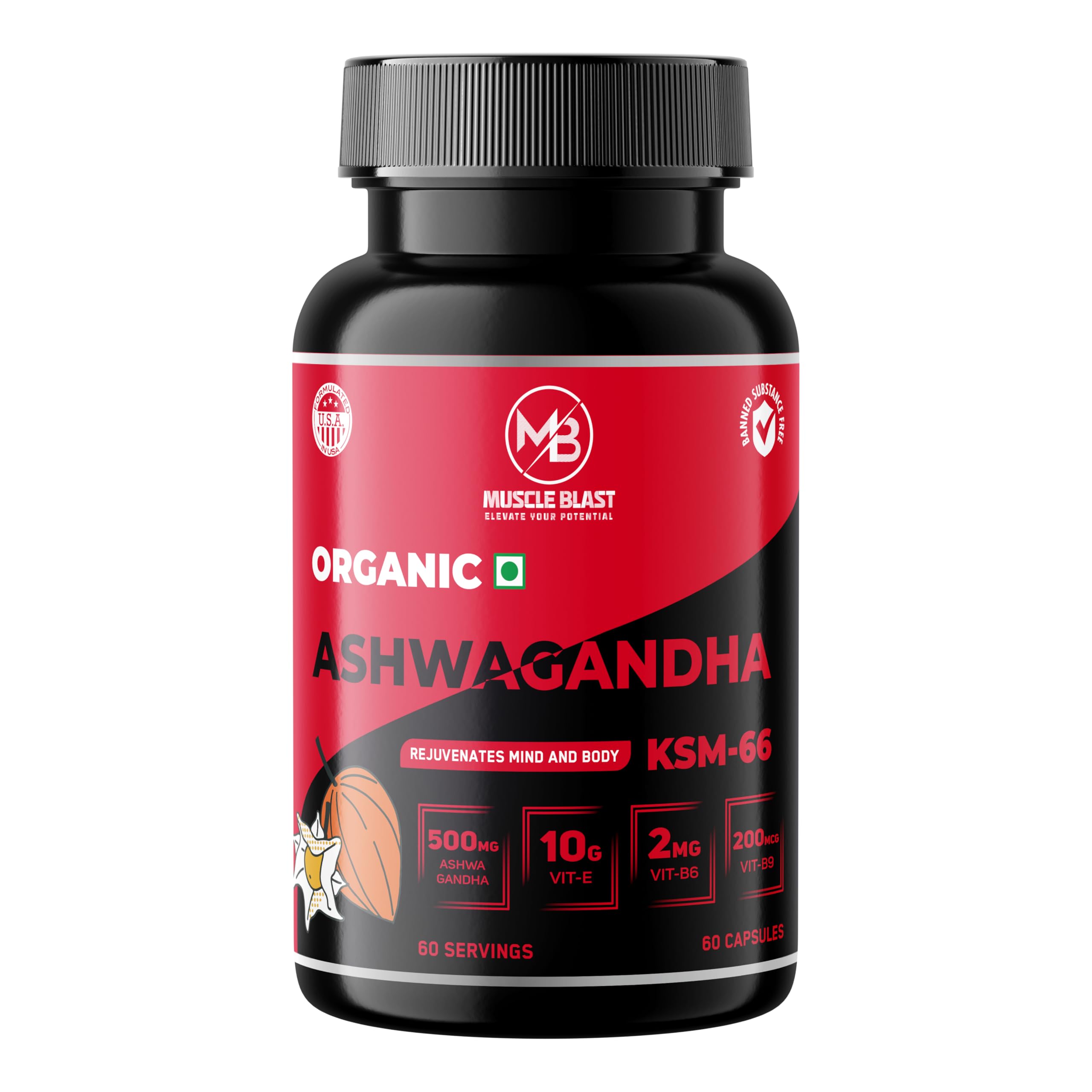 Organic Ashwagandha KSM-66 500mg Capsules with Vitamin E, B6, B9 & B12 – Stress Relief, Energy, Stamina & Immunity Support, 60 Capsules (60 Servings)-image-17