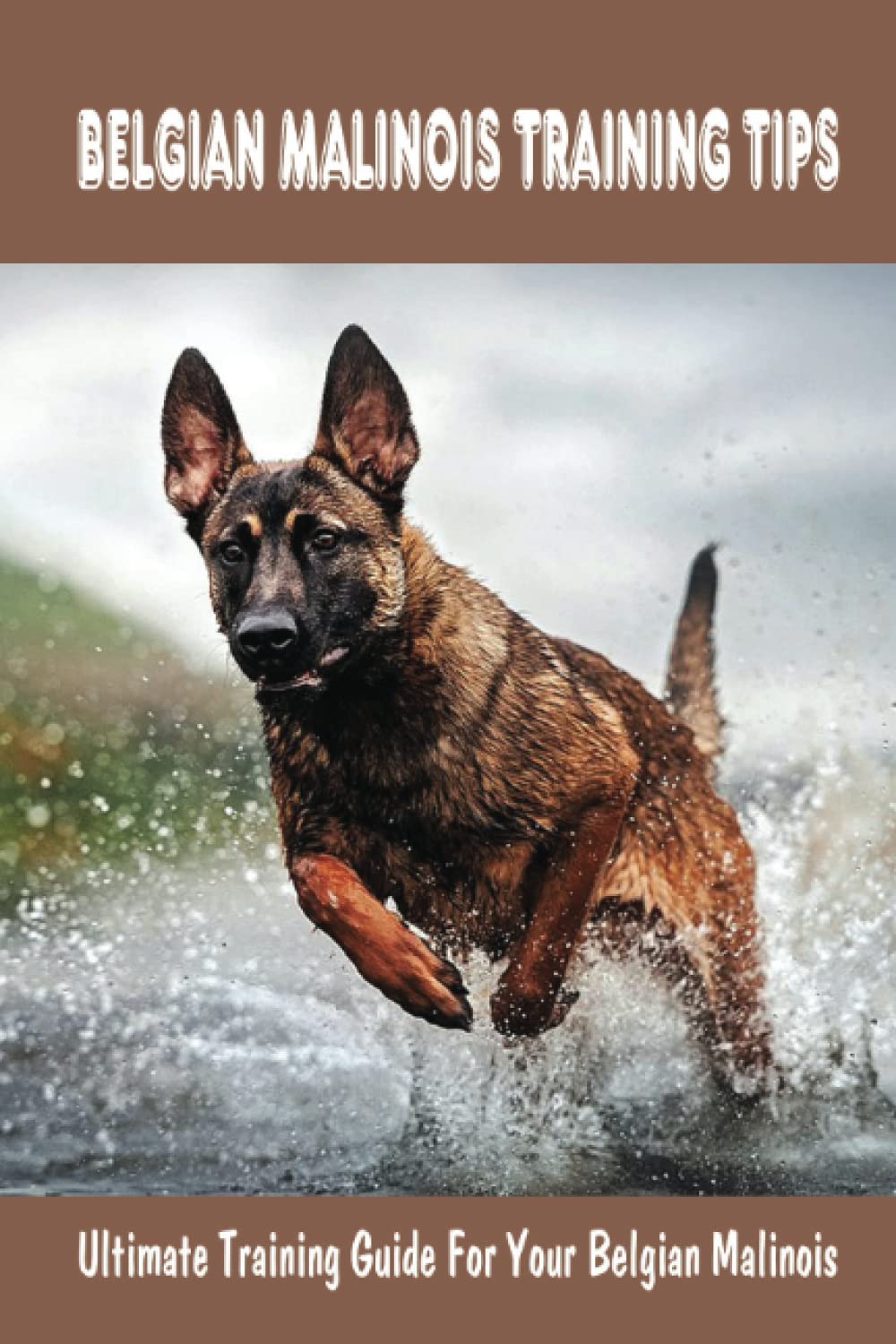 Belgian Malinois Training Tips: Ultimate Training Guide For Your Belgian Malinois