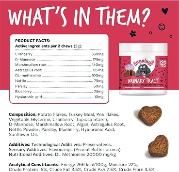 Bugalugs Urinary Tract Dog Chews helps stop dogs urinating in house & dog incontinence. supports UTI, Bladder & Kidney with Cranberry, D-Mannose & Marshmallow root. Grain free dog treats -120 chews