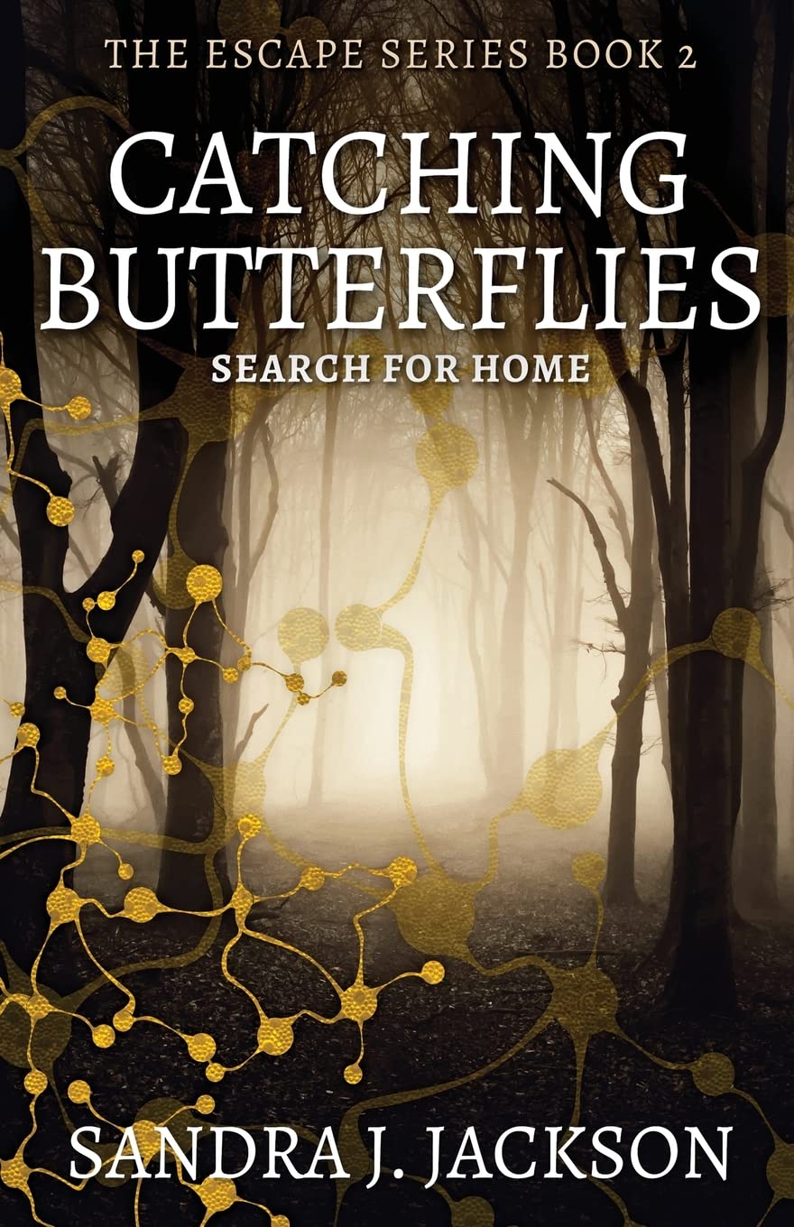 Buy Catching Butterflies — BookShops.in