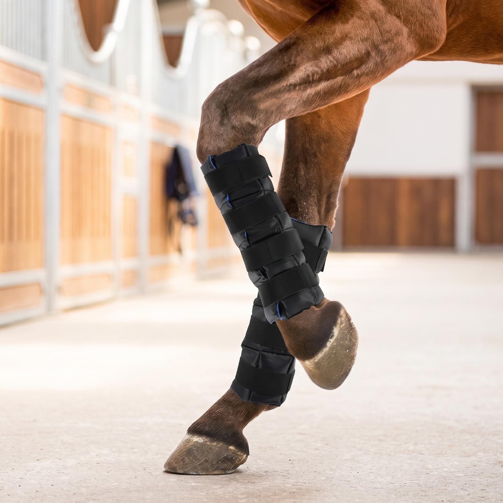 Fascia con Cinghie Regolabili Terapeutico Fascia Flessibile Attrezzatura per Cavalli, Cavalieri, dopo Allenamento