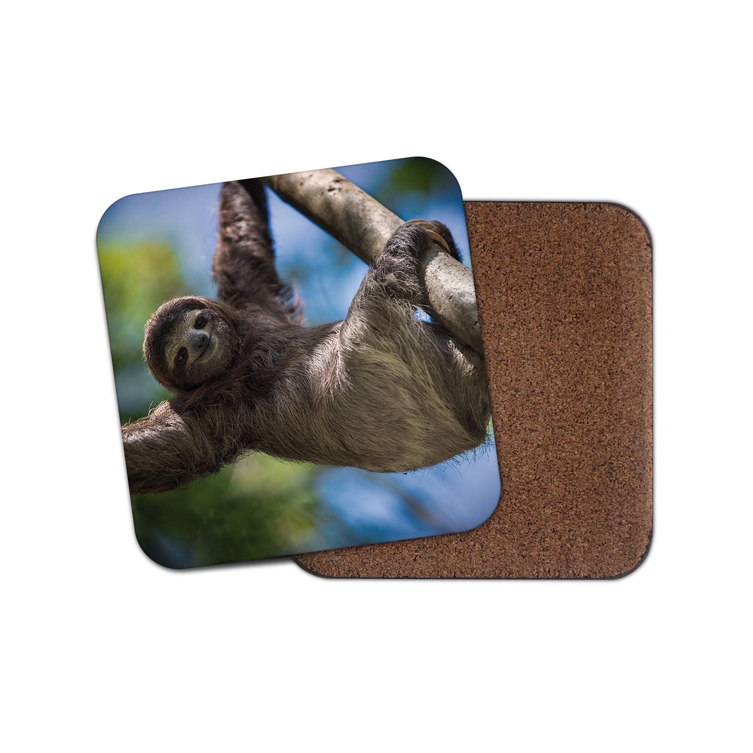 Destination Vinyl Ltd Multicolor 1 X Sloth Chilling Coaster - Lazy Kids Animal Teen Wildlife Wild #15865