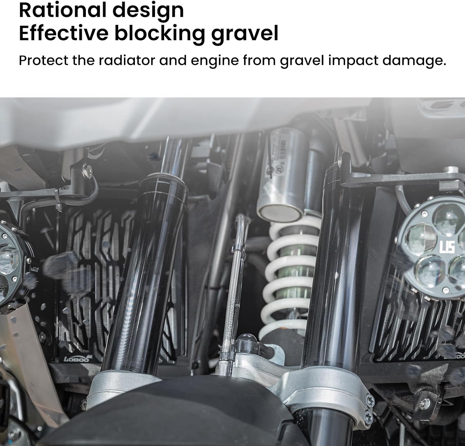 Motorcycle Radiator Guard & + Oil Guard Kit Compatible With BMW R1250GS/1250GS ADV(2019-)，Radiator Guard Grille Protective Cover/Engine Protection Mesh (Modified Water Tank Net)