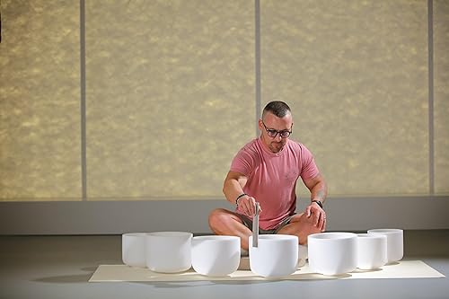 Vista 43 de TOPFUND Juego de 7 cuencos de cristal de 6 a 12 pulgadas con estuche de transporte resistente y mazos de cuenco para cantar Juego de 7 cuencos