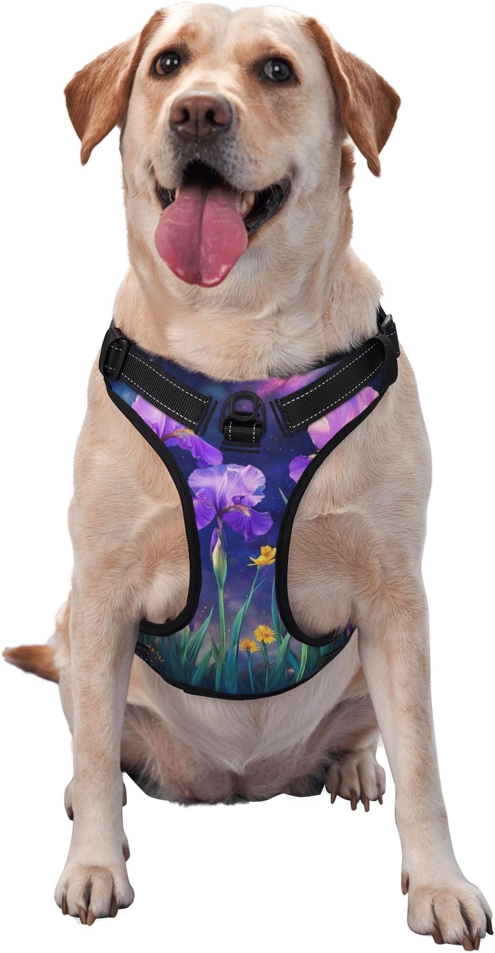 Qewfoju Starry Night Iris Field Pattern No Pull Dog Harness for Large Dogs Adjustable Soft Padded Pet Vest with Leash, Reflective Dog Vest for Small to Large Dogs Walking Training