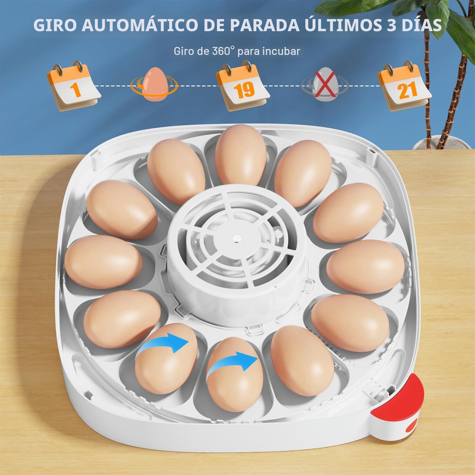 Sailnovo Incubadoras de huevos para incubar, 12 huevos, incubadora para huevos de gallina con 4 modos, visión de 360°, incubadora de huevos con giro automático y control de temperatura, indicador de