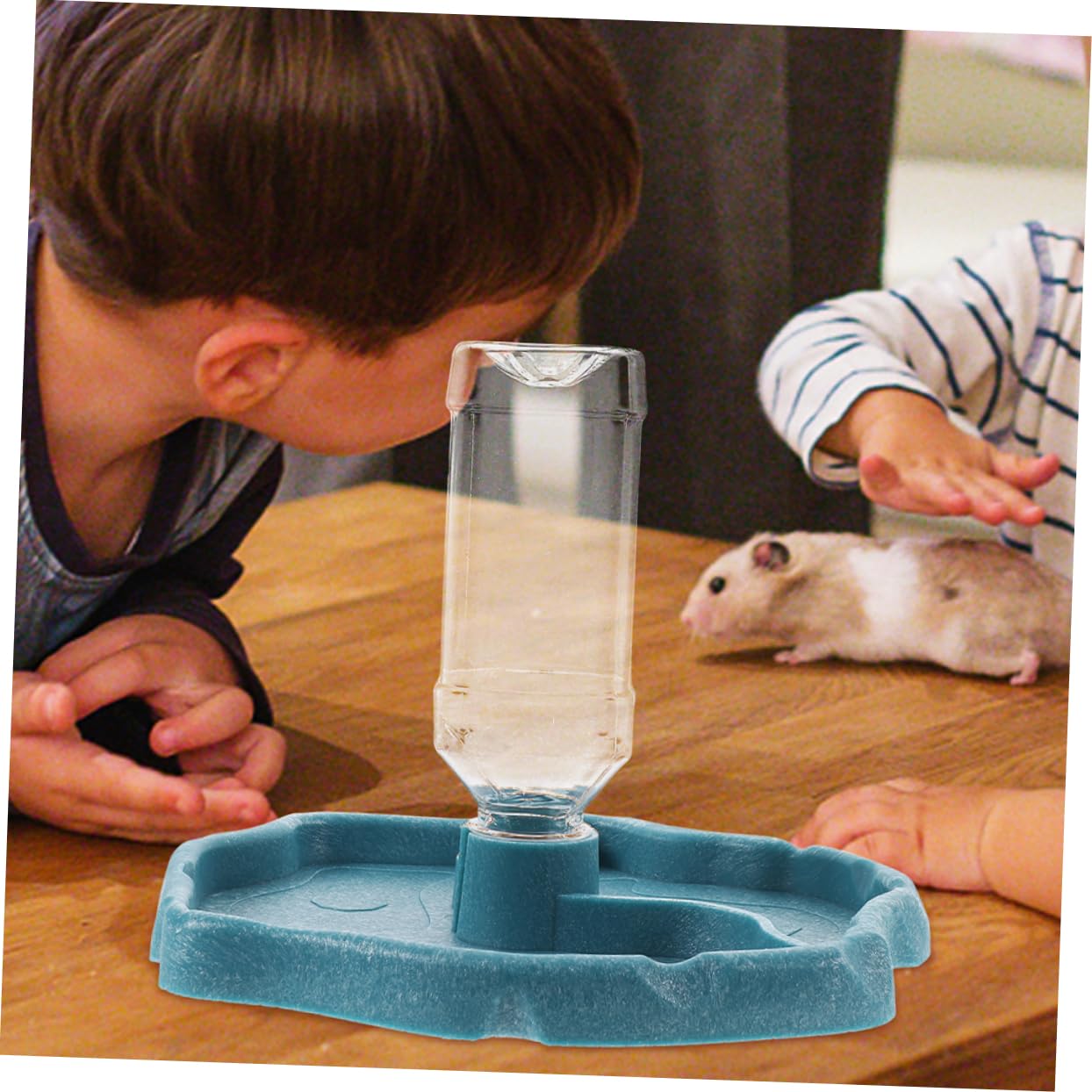 ORFOFE Distributore Automatico D’Acqua 2 Pezzi, Facile da Pulire, Ciotola in ABS, per Rettili e Uccelli, per Tartarughe e Lucertole | Facile da Pulire, Contiene Cibo e Acqua, per Riccio e Piccoli Animali, Ciotola Pratica per Uso Quotidiano