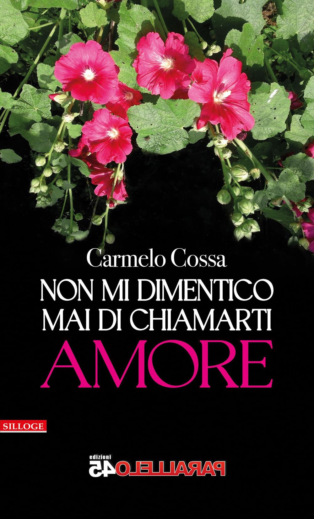Non Mi Dimentico Mai Di Chiamarti Amore - 4
