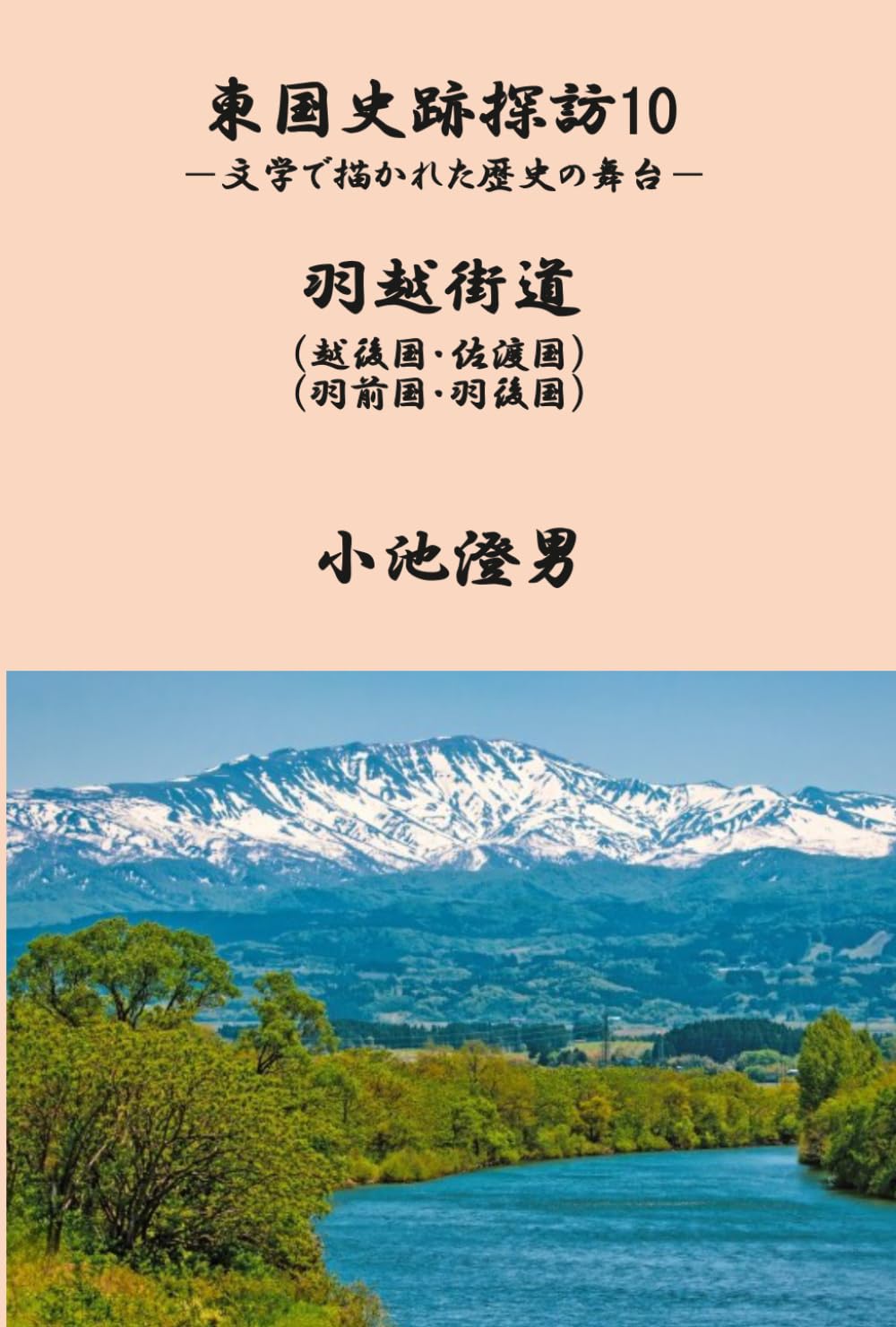 東国史跡探訪10: 文学で描かれた歴史の舞台 (東国史跡探訪)