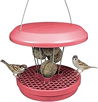 Vista 19 de SWISSINNO Comedero para pájaros – Comedero colgante para pájaros sin desorden para exteriores – Smart Birds Davos a prueba de derrames, cardenales