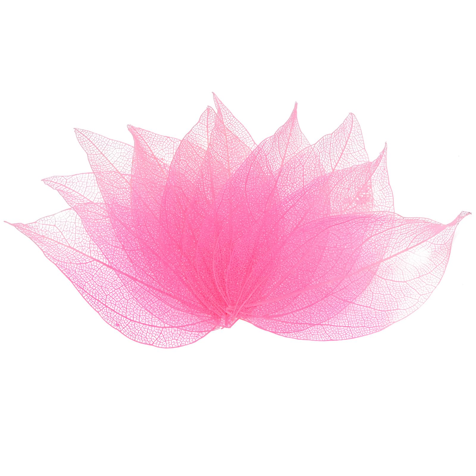 M METERXITY 200-Pack Skeleton Leaves, Natural Rubber Tree Dried Pressed Leaves Vein for Resin/DIY Crafts Card/Scrapbook/Wedding, Small Leaves Decorative [4-6cm, Light and Dark Pink] — image 1