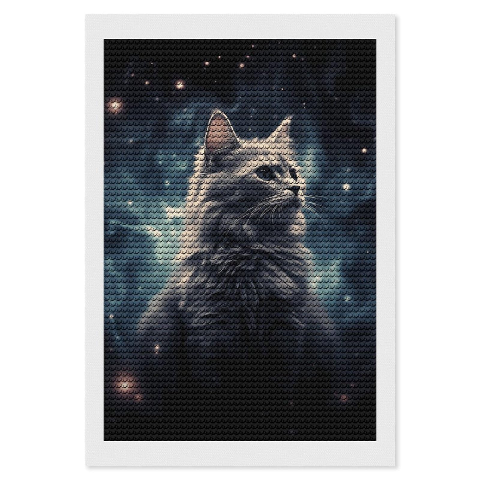 Diamond Painting Kits for Adults - DIY Diamond Art Kits for Beginners - Full 5D Paint Drill Diamond Dots Paintings- A Cat in A Nebula Diamonds Pictures Gem Art and Craft Wall Decor 8"x12"