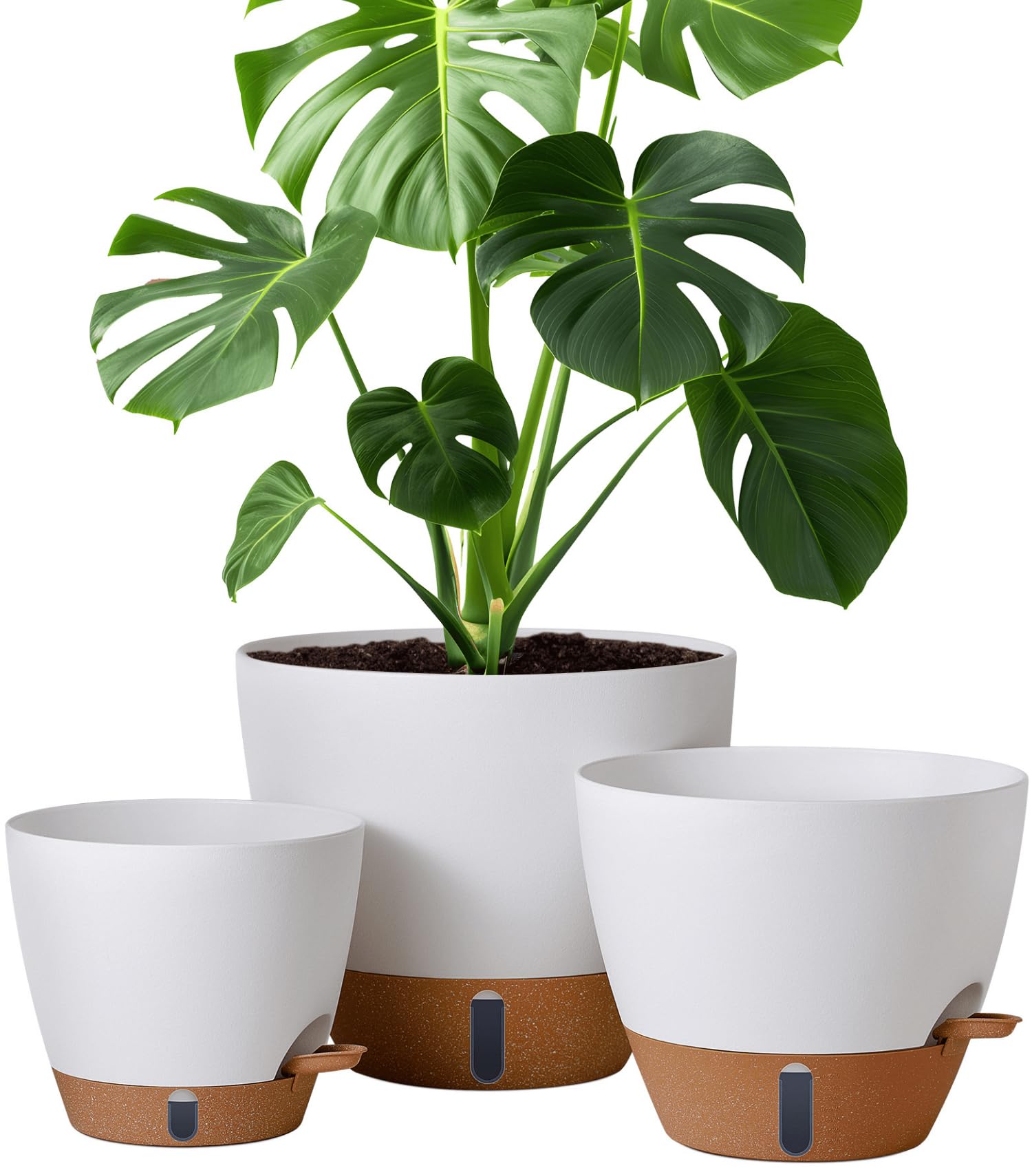 montresor Self Watering Pot