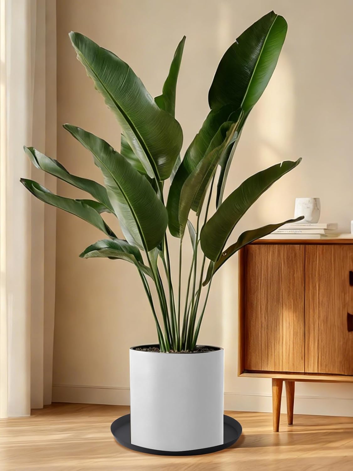 Kalolary 20 Inch Plant Saucer for Potted Plant Silicone Plant Trays Plant Saucer Growing Tray Heavy Sturdy Silicone Plant Drainage Saucers Plant Drip Trays for Pots Seed Starter Growing Trays