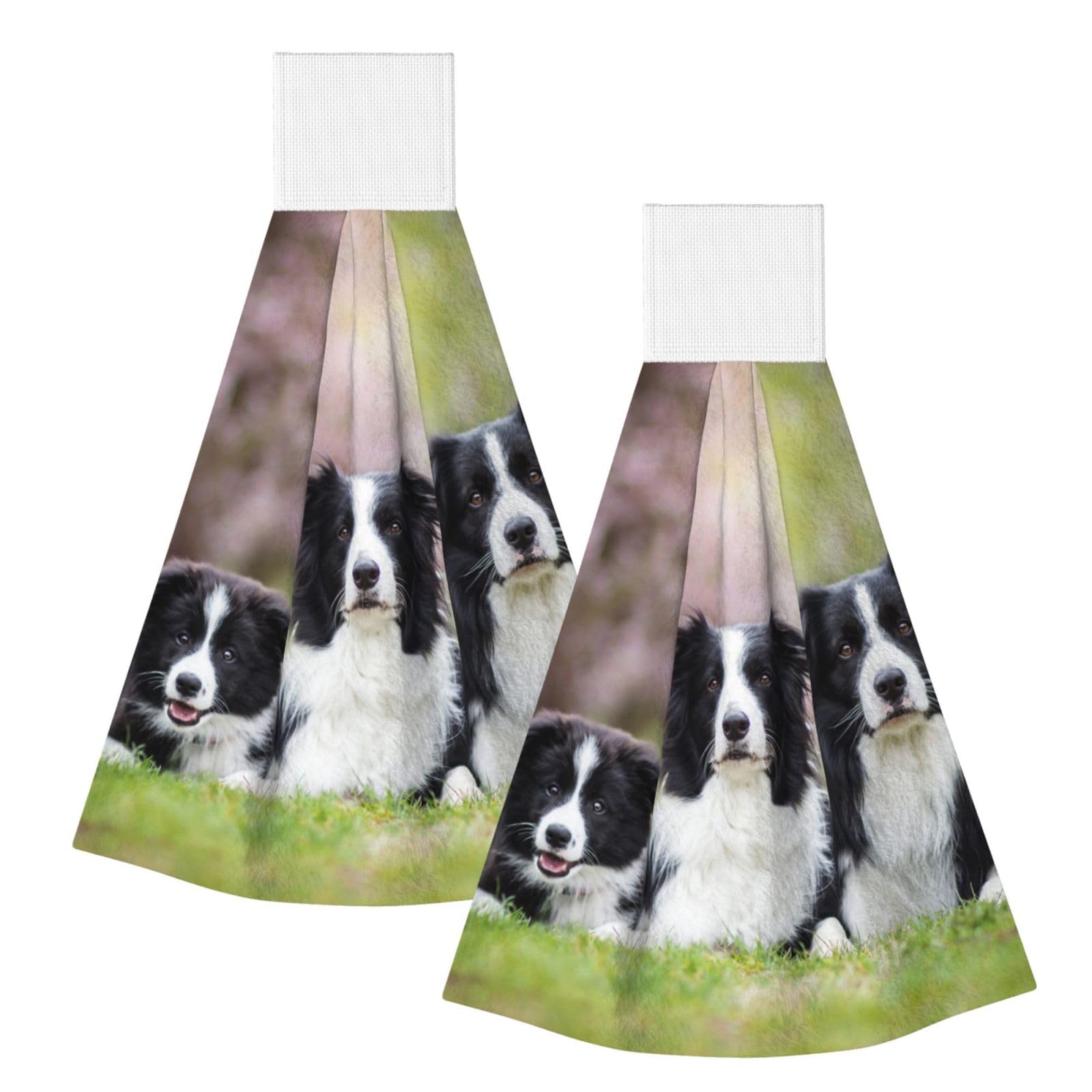 DOPKLNA Border Collie Family, 2 Pcs Hanging Coral Fiber Hand Towels for Bathroom, Absorbent Kitchen Towels